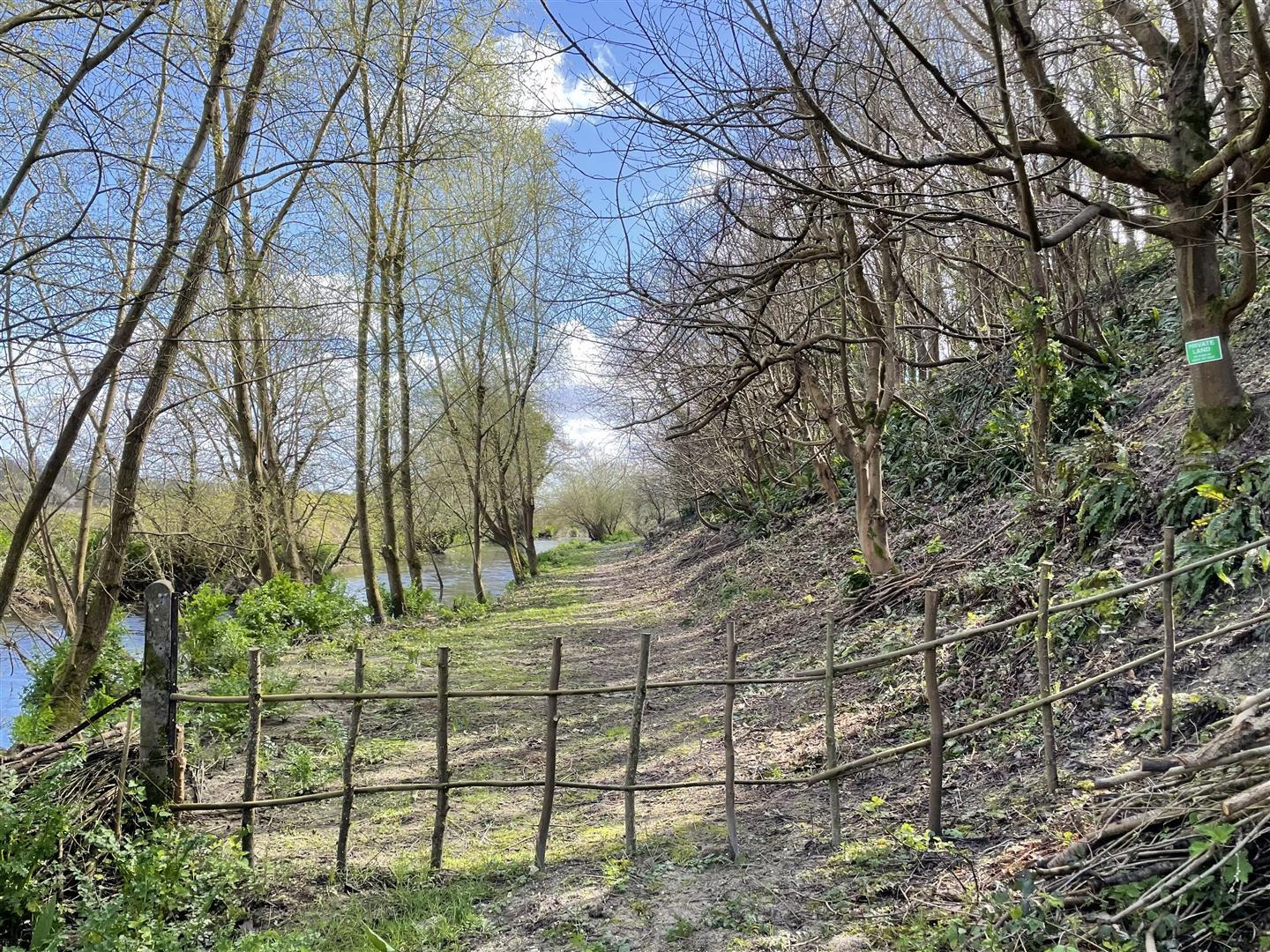 Property Image 18ffc57e-8cb5-45be-81f8-1abd1e965555