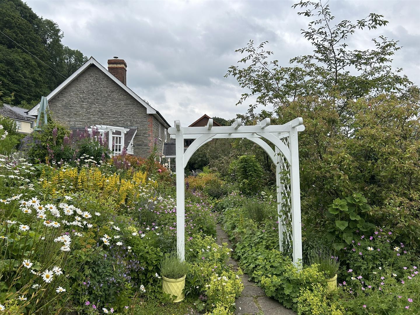 Image 31