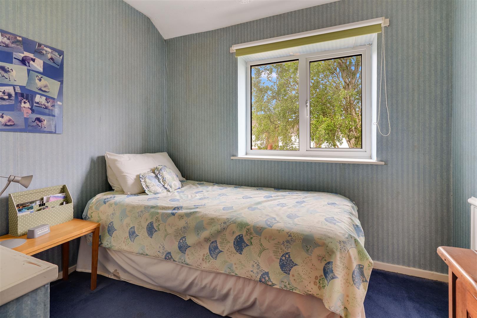 Property Image 1973aa2d-9508-4f09-84ed-4cc0393ba879