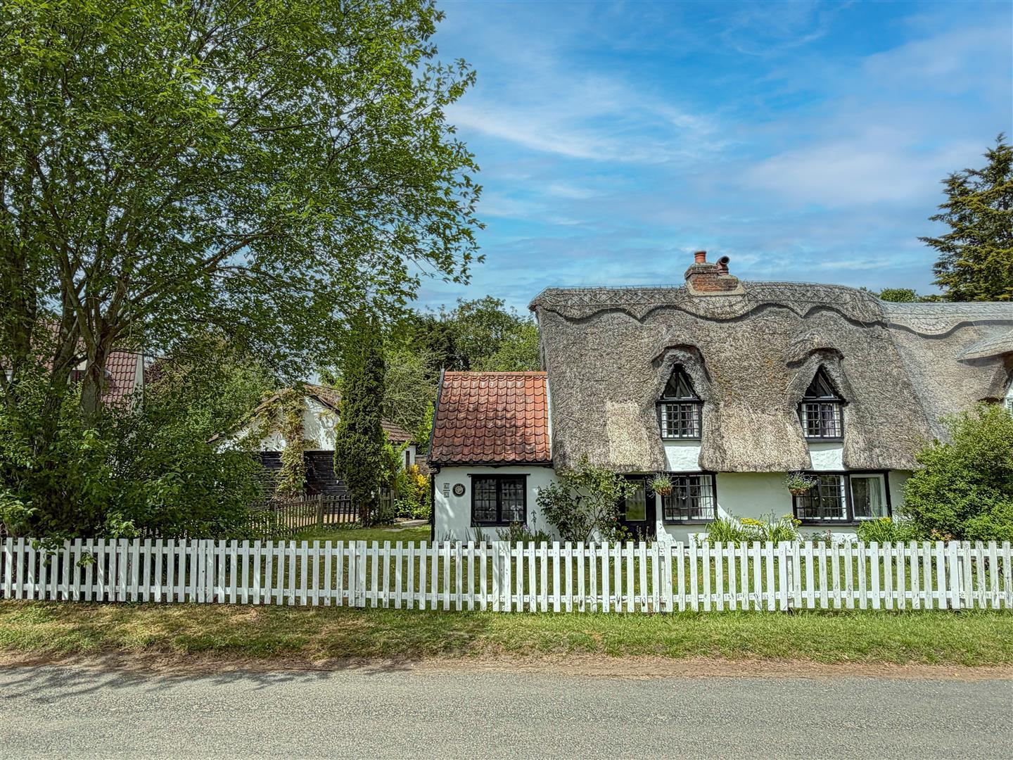 Image 14