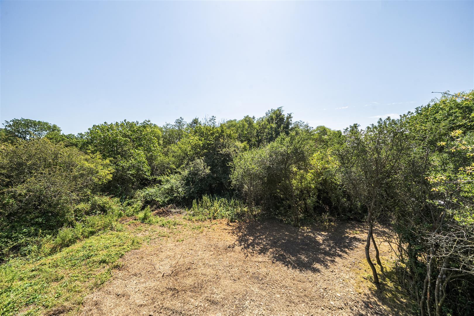 Property Image 19c9bafb-cbec-4dae-97a2-6e7ef35bcd0e