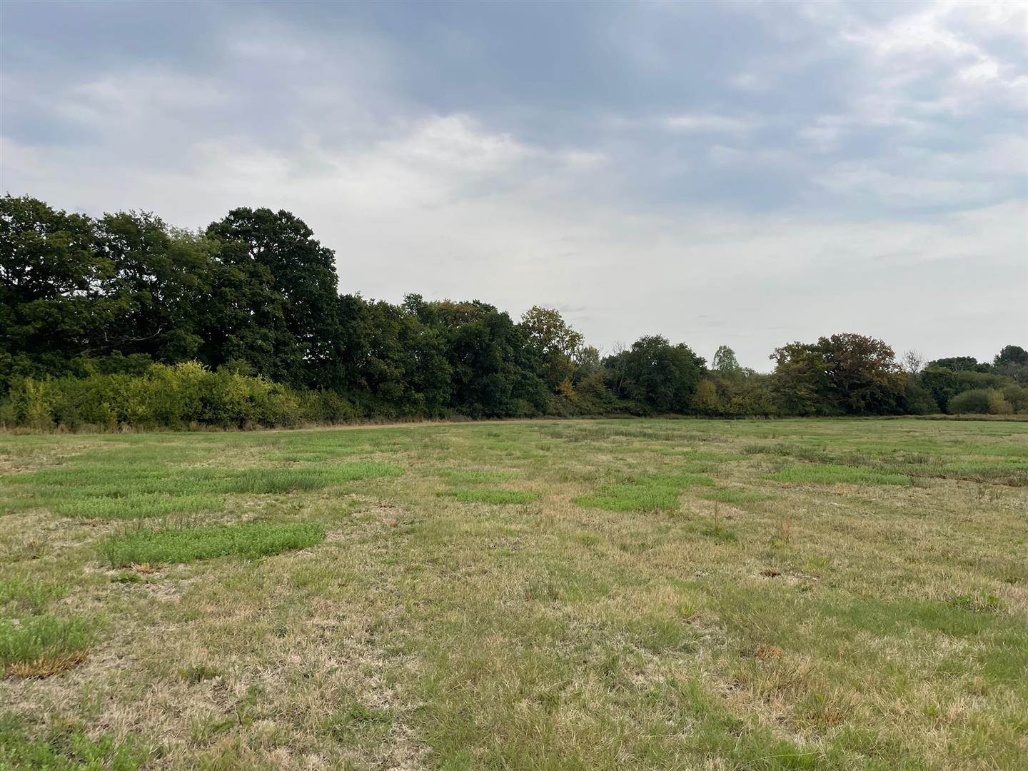 Property Image 19e0c865-e41e-493f-8083-248c21596553