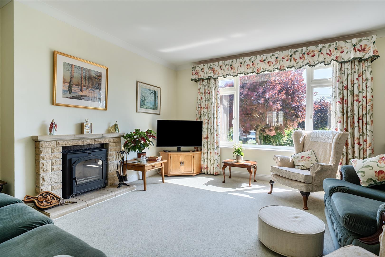 Property Image 19e478fc-dba0-49e2-9f4b-04351a32d593