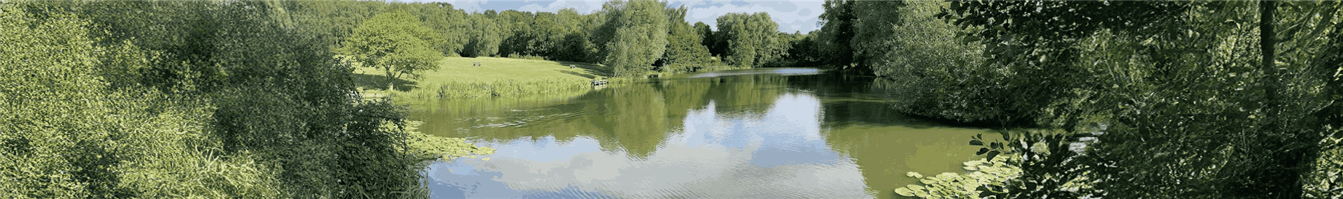 Highwoods Country Park