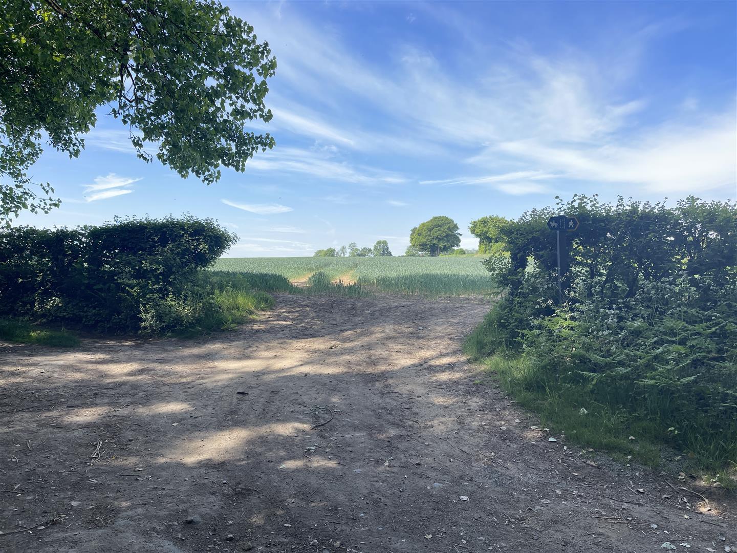 Property Image 1a1ff5dd-c600-4ce9-a932-fa1939804c41