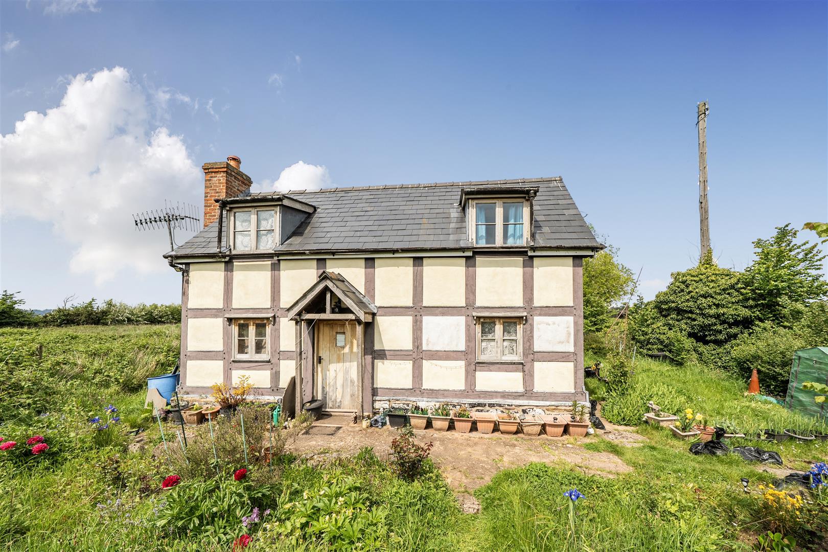 Property Image 1a8f12d5-808c-4ad1-99b2-9ffa78a8c144