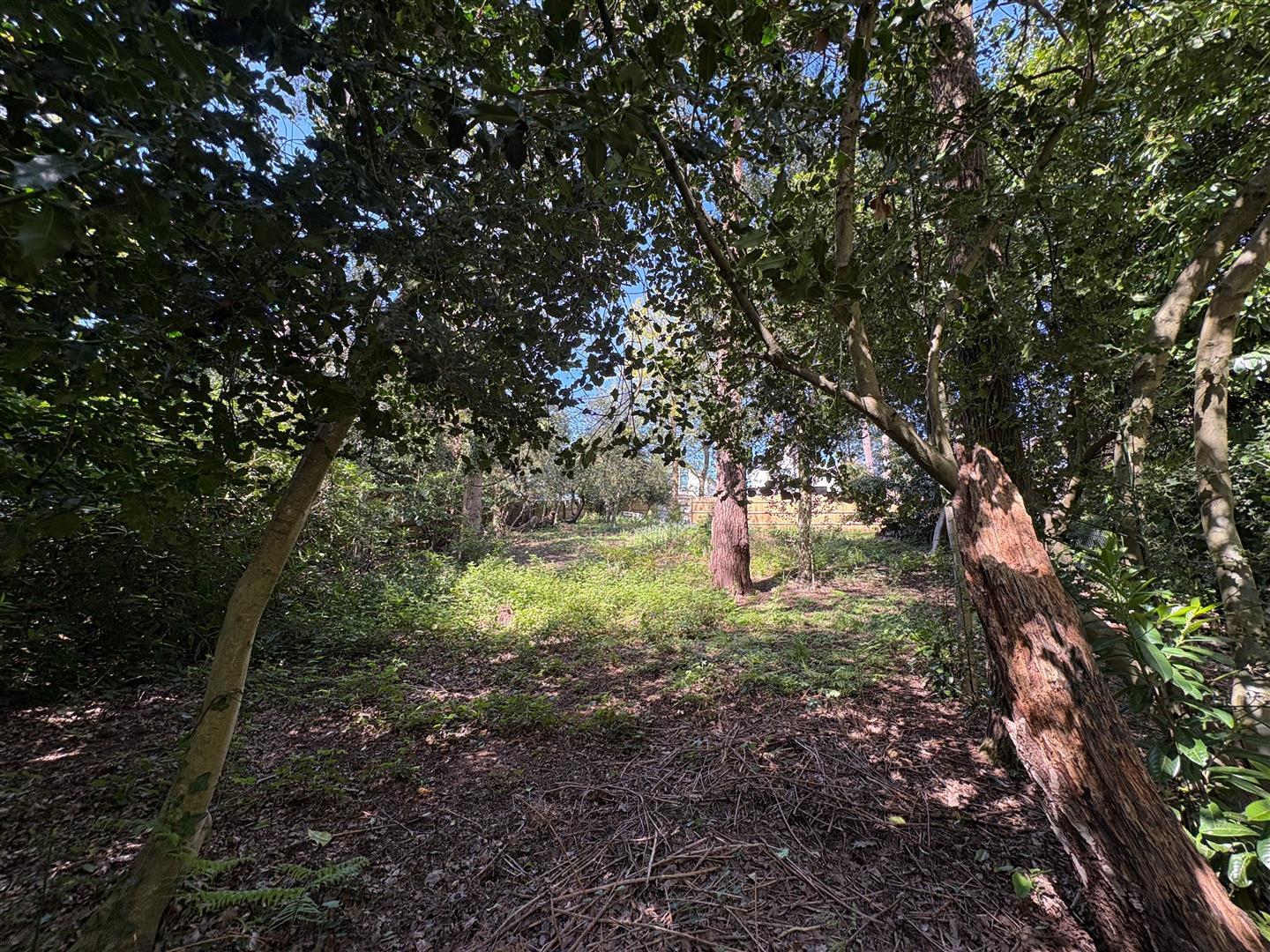 Property Image 1a9b1ce5-d327-485d-bbd0-60bdf1306fbf