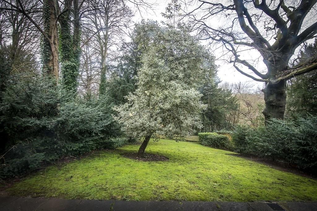 Property Image 1aa28077-3bea-405c-af67-8d5d10460eba