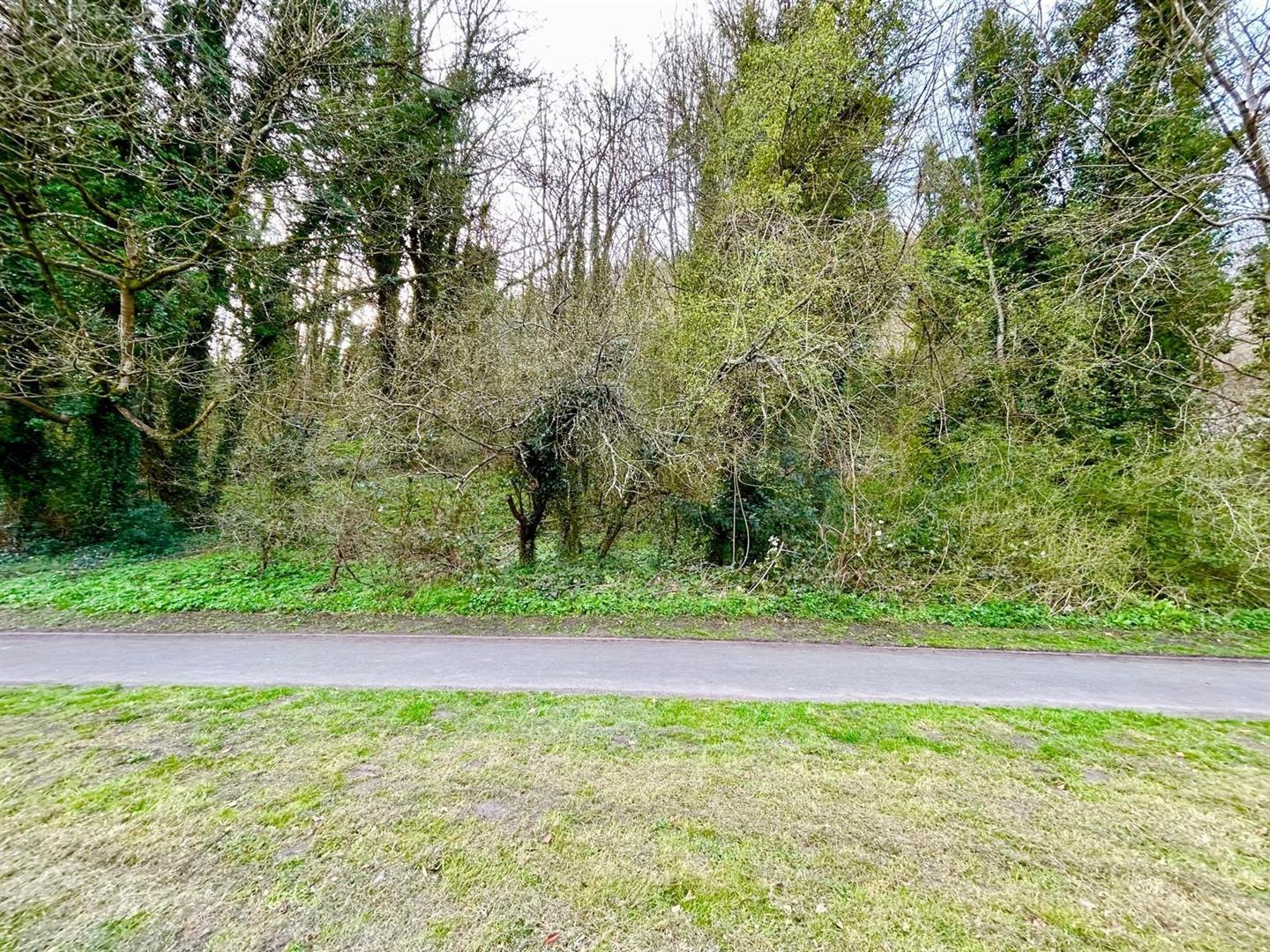 Property Image 1aa427b2-8999-49fd-8704-9485d7db2140