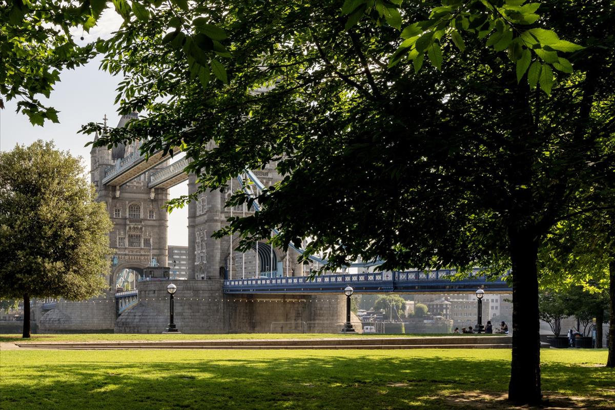 Property Image 1ab7a3db-a8d5-4bef-909e-64b8ba65d238