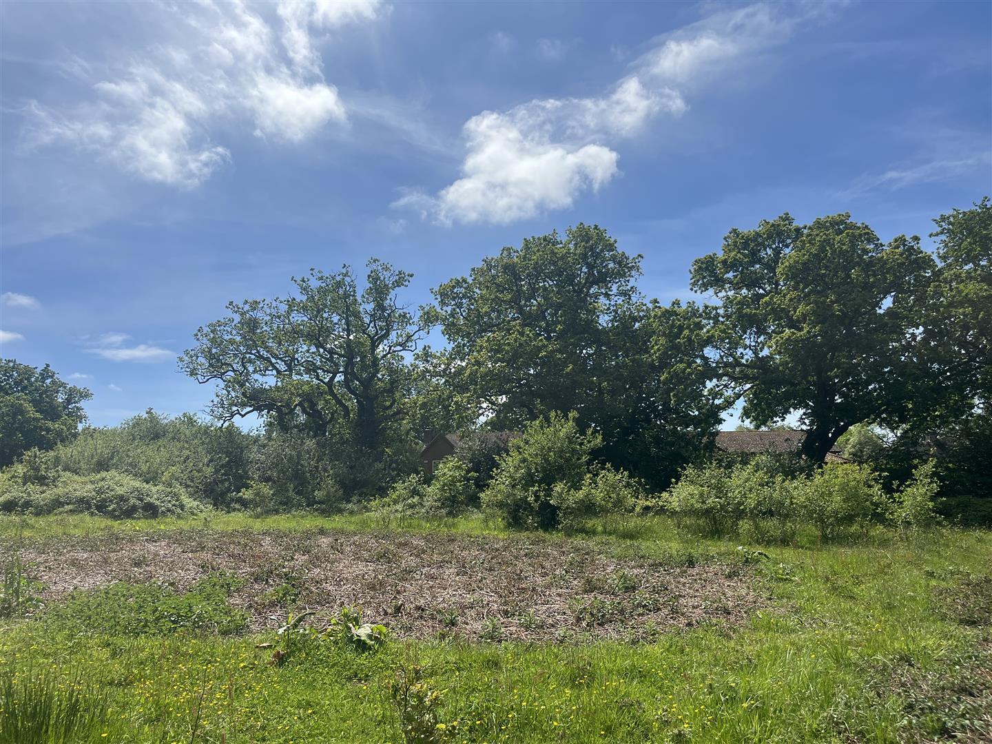 Property Image 1aca1ac6-2ddd-46ae-aa71-e09729c79052