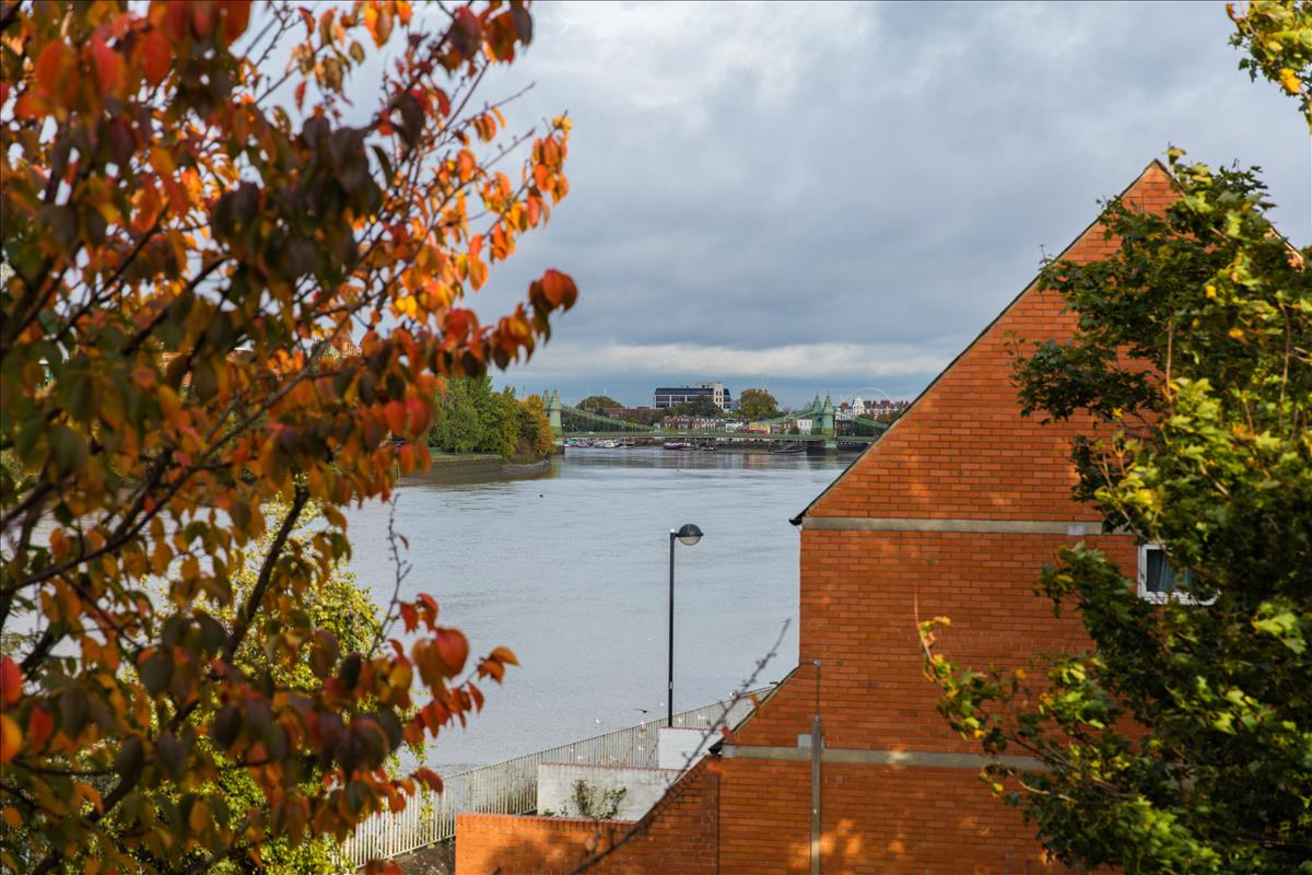 Property Image 1b13785b-bffb-4ad5-928d-b5a751e0290b