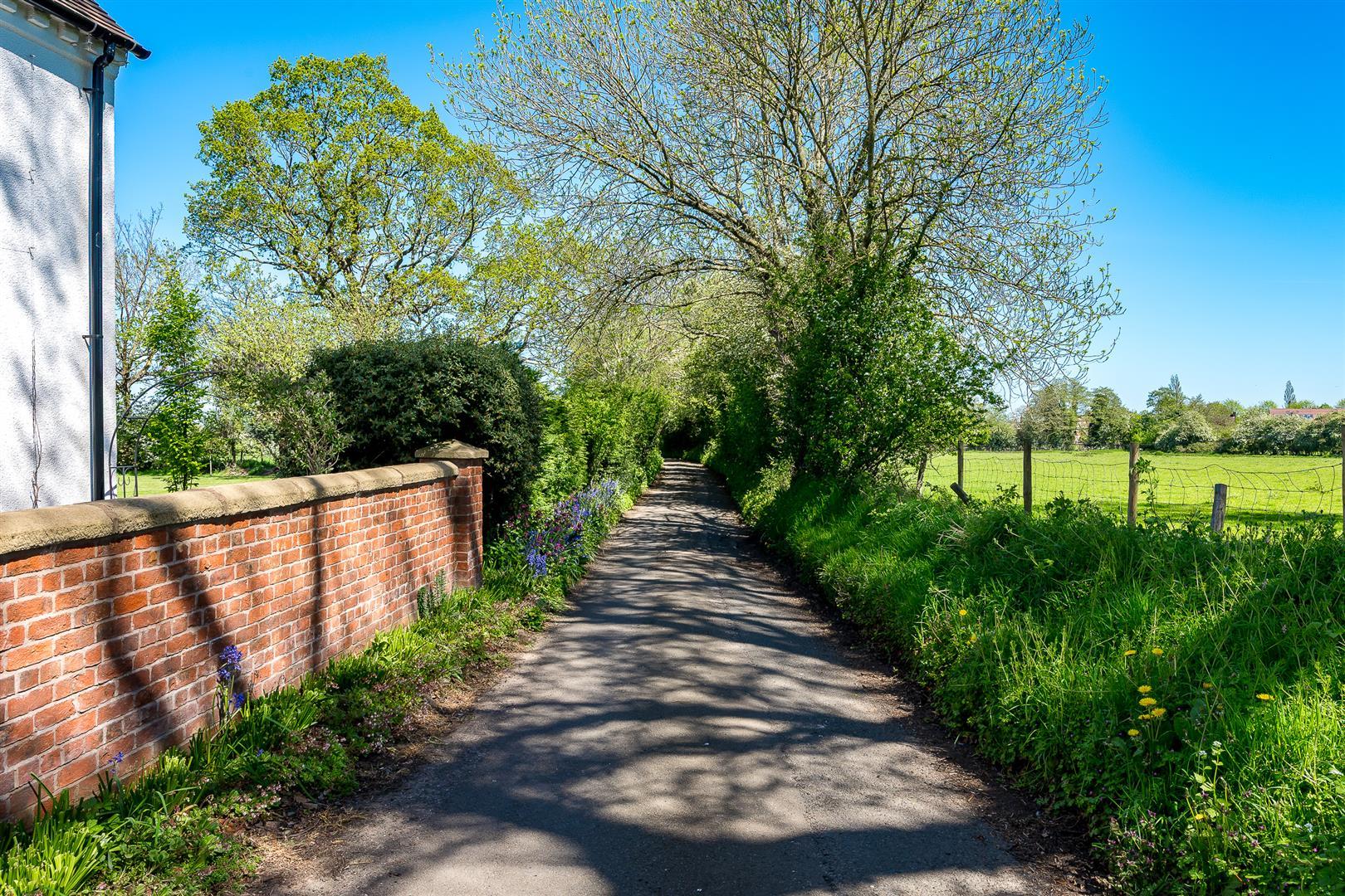Property Image 1b15033b-ea7a-4ab6-8fb9-51e47e5e163b