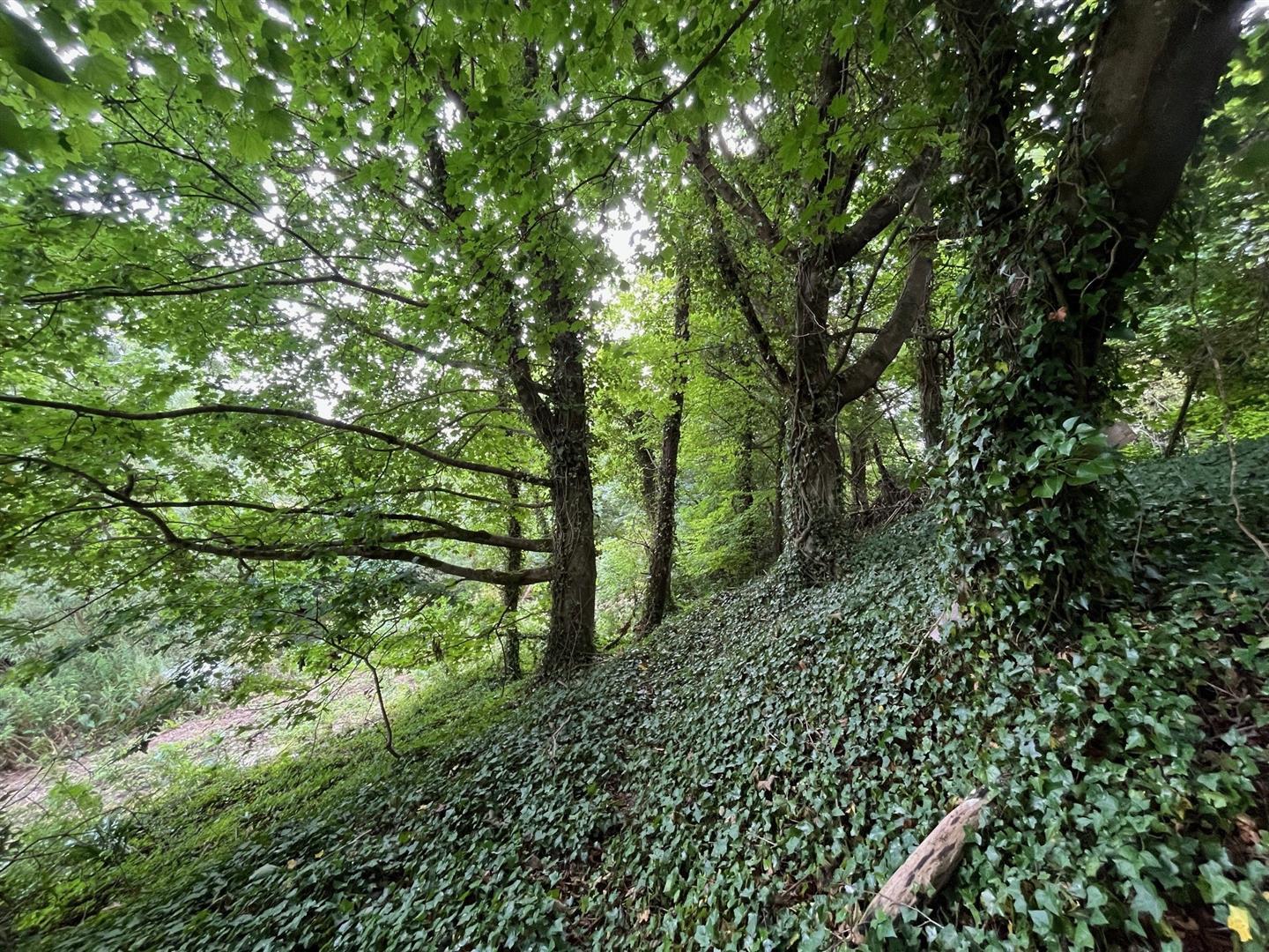 Property Image 1b154cbc-a9e8-45c2-bd47-6236e2c4fdaf