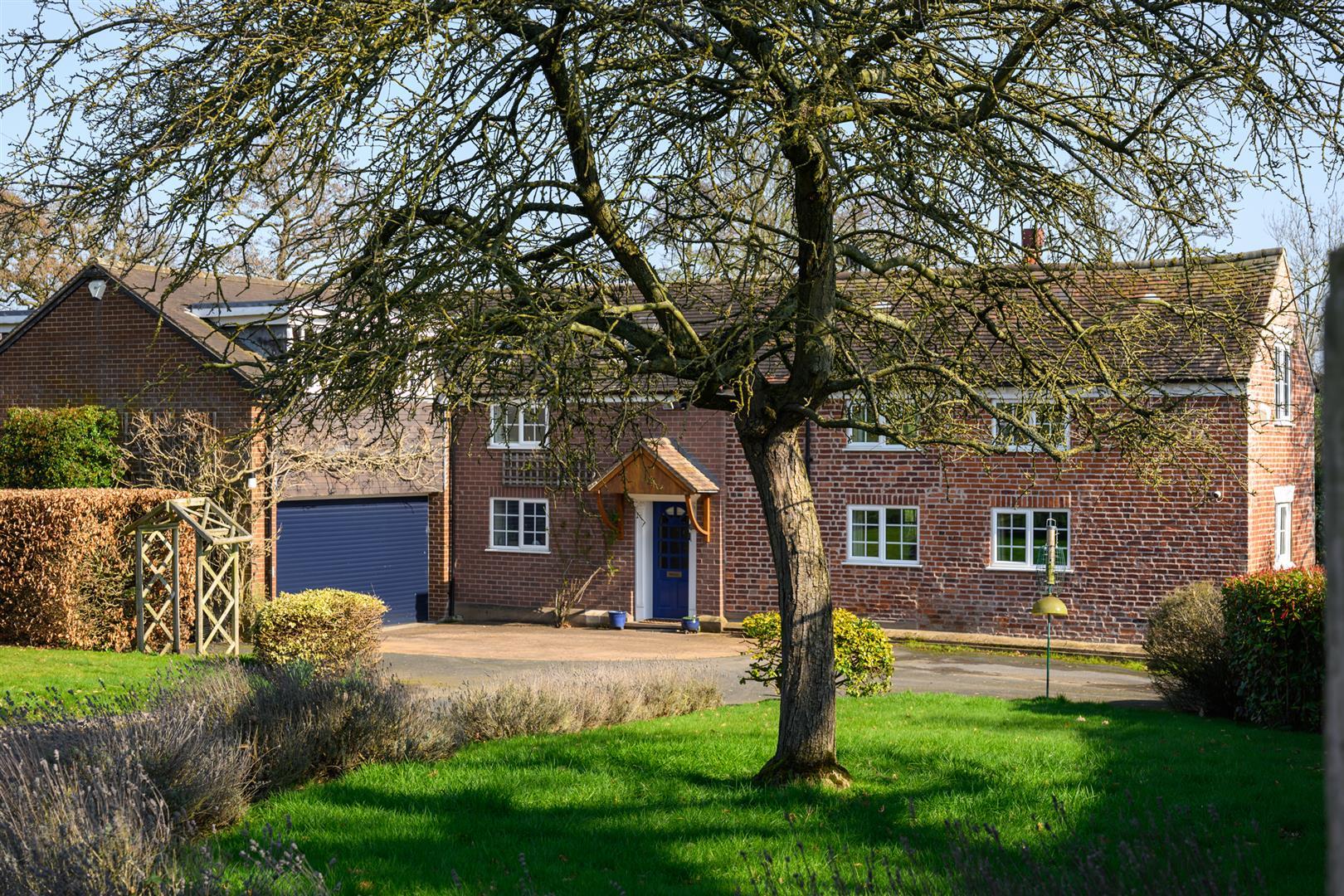 Property Image 1b20be63-22fa-4996-8f4e-d8447b616841