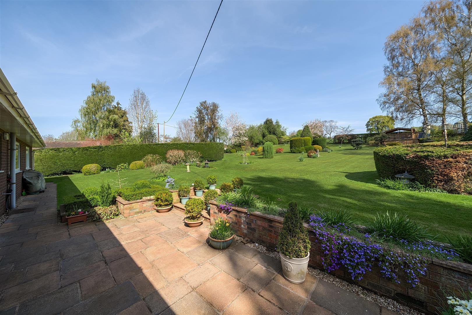 Property Image 1b2e76a8-aff0-4ebb-87cf-11c14d57f2d8