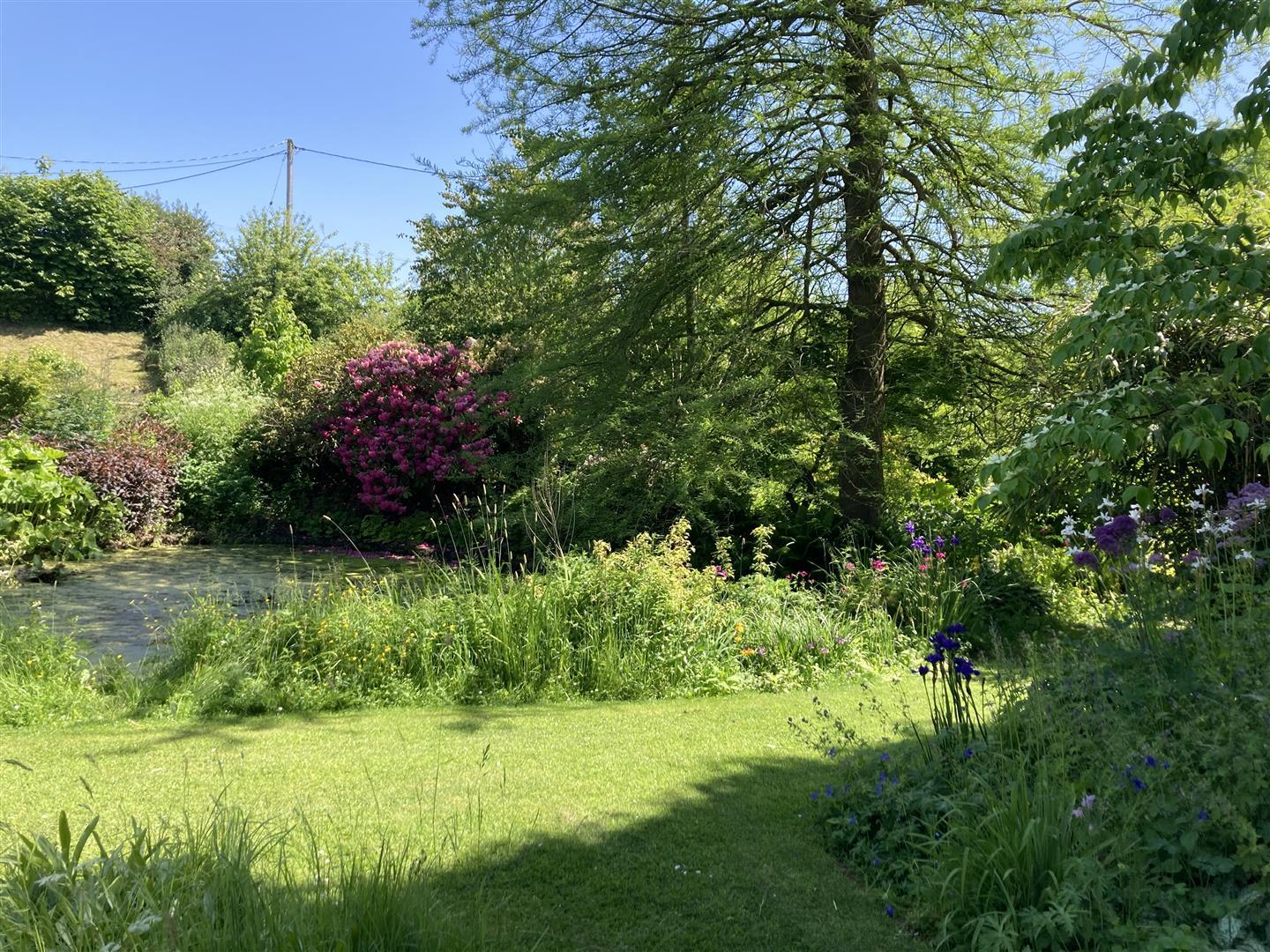 Property Image 1b3d53e9-2dad-45f4-8b70-fb01291d6f08