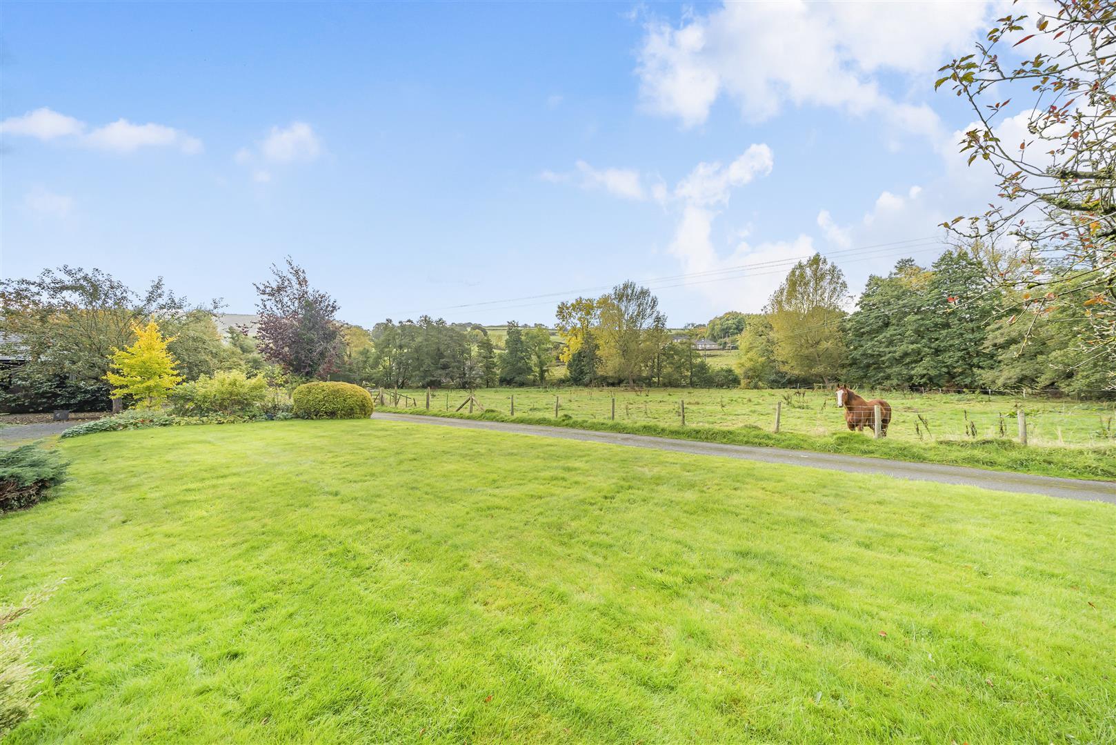 Property Image 1b4b77e1-ad38-49ba-bcb2-8b8895f263bc