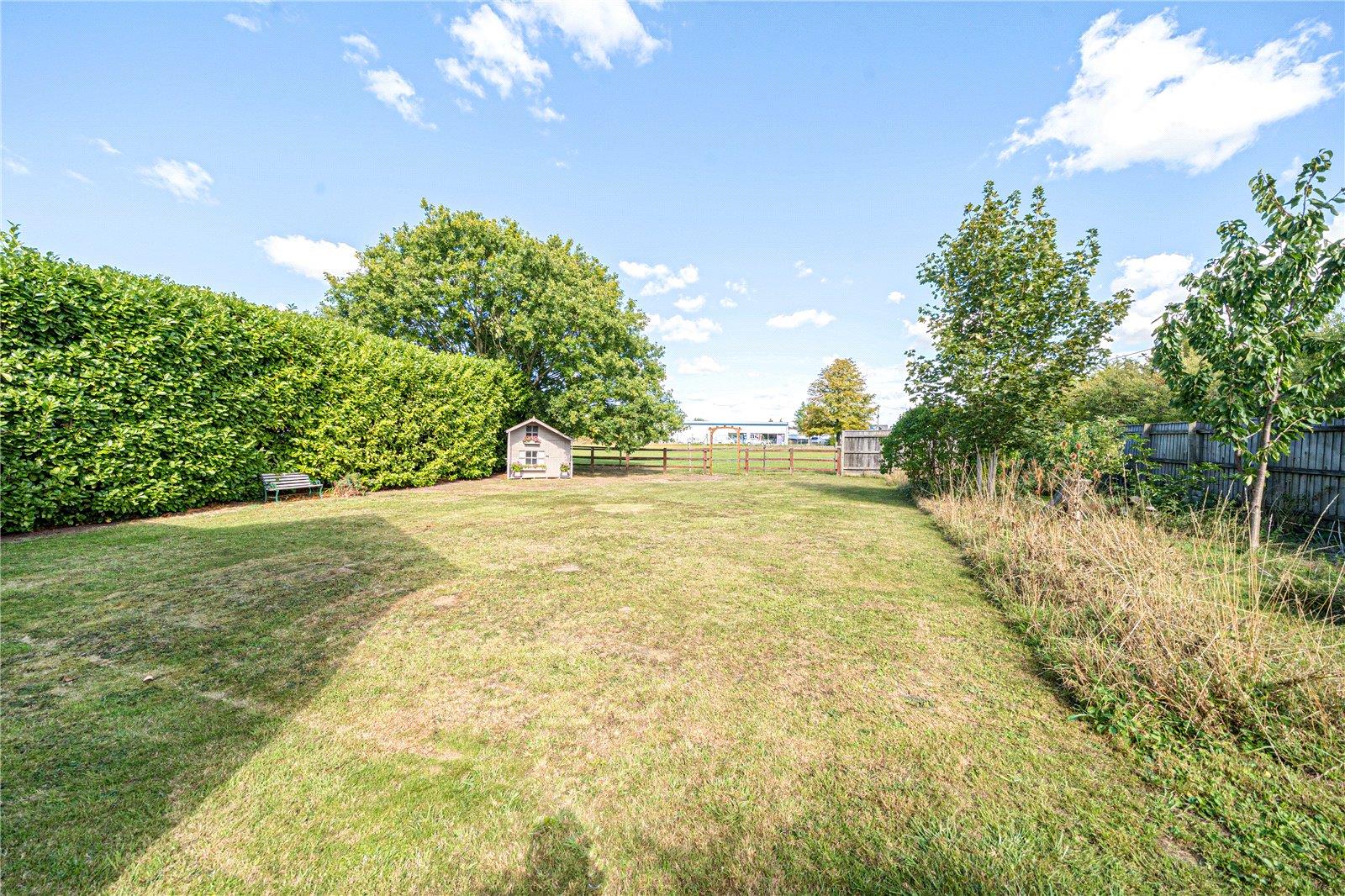 Image 13