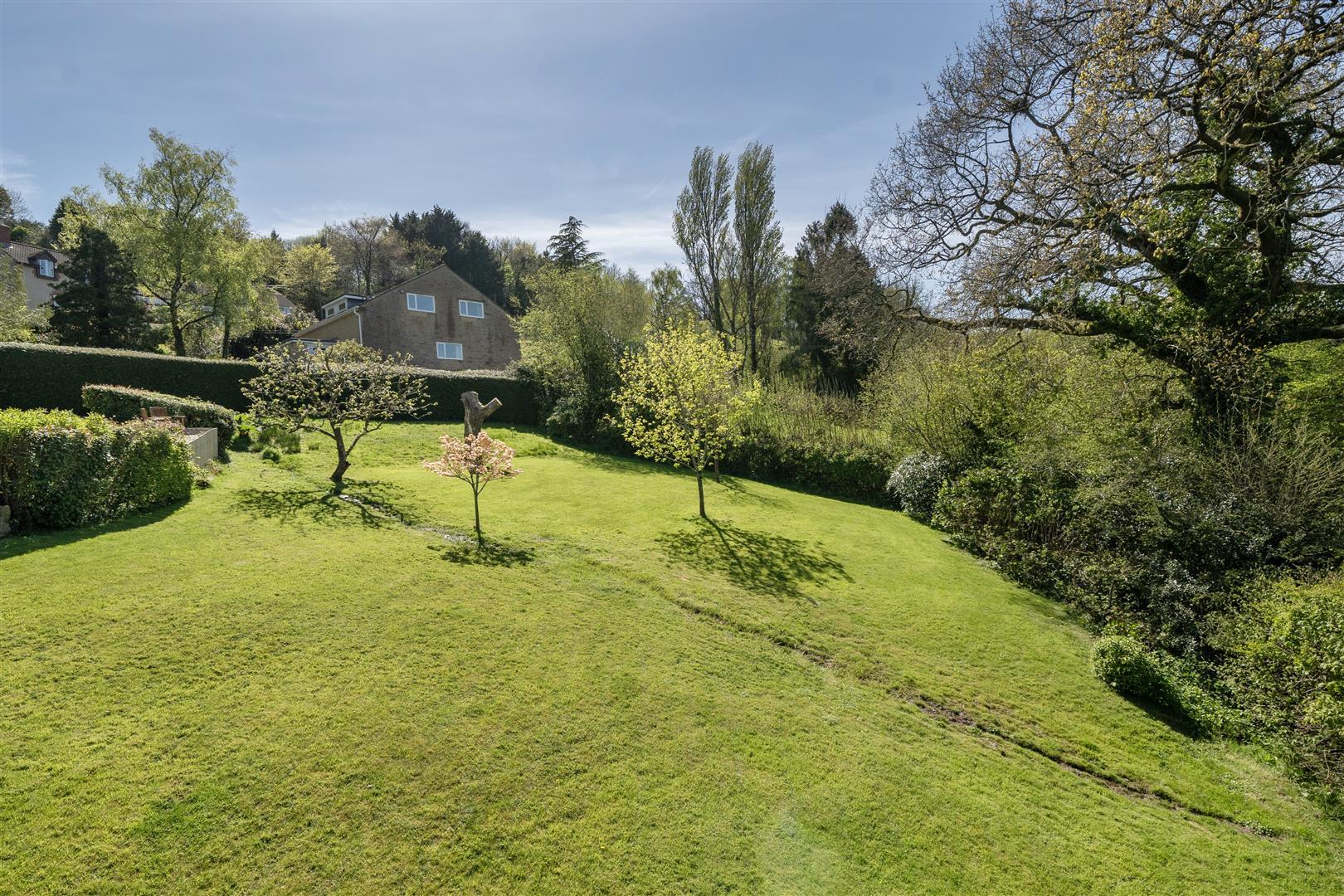 Property Image 1b774cdb-f028-4f3f-9172-081a5ddf22c5