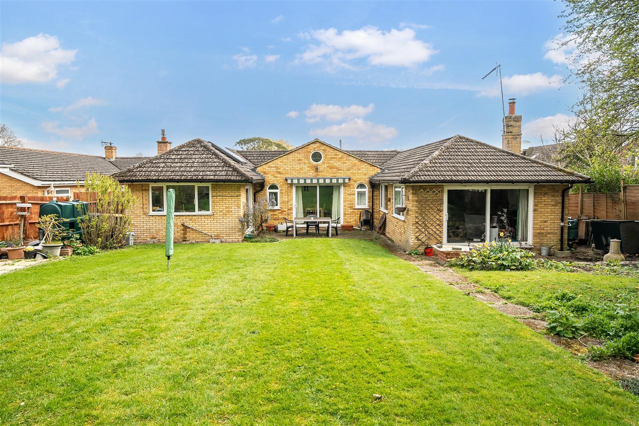 Property Image 1bf19c70-677a-431f-8f0d-b3bf4c977690