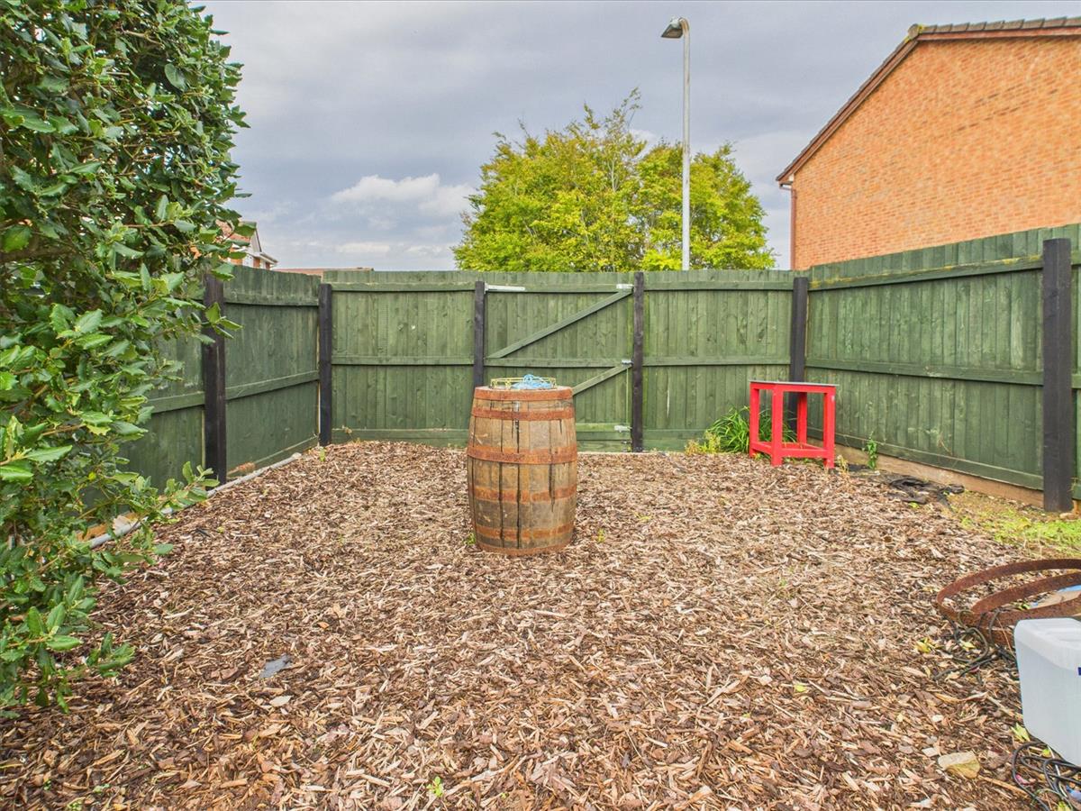 Image 29
