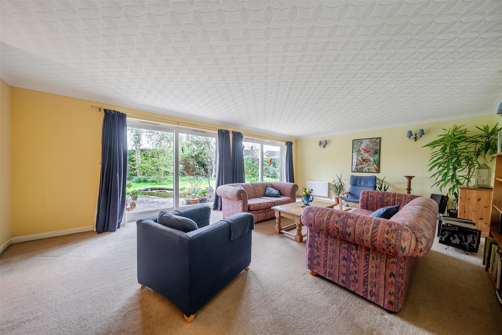 Property Image 1c192f59-1a72-459f-bb41-42a48e7f76f9
