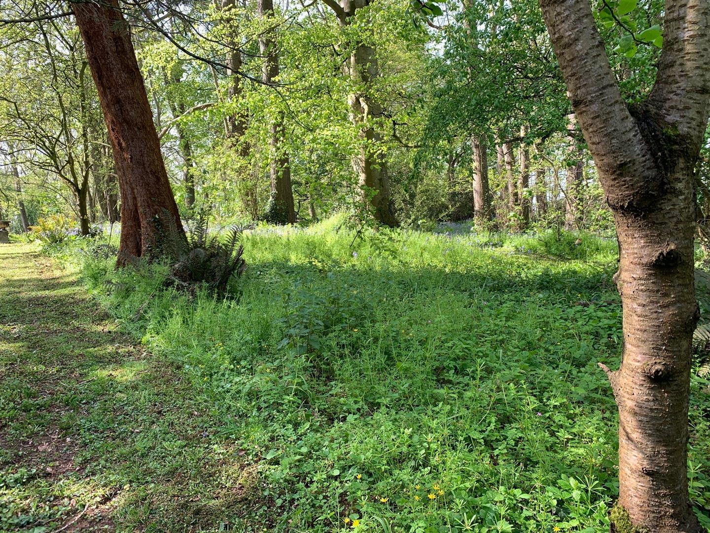 Property Image 1c40384b-05fd-49e2-bded-e29e489a20bc