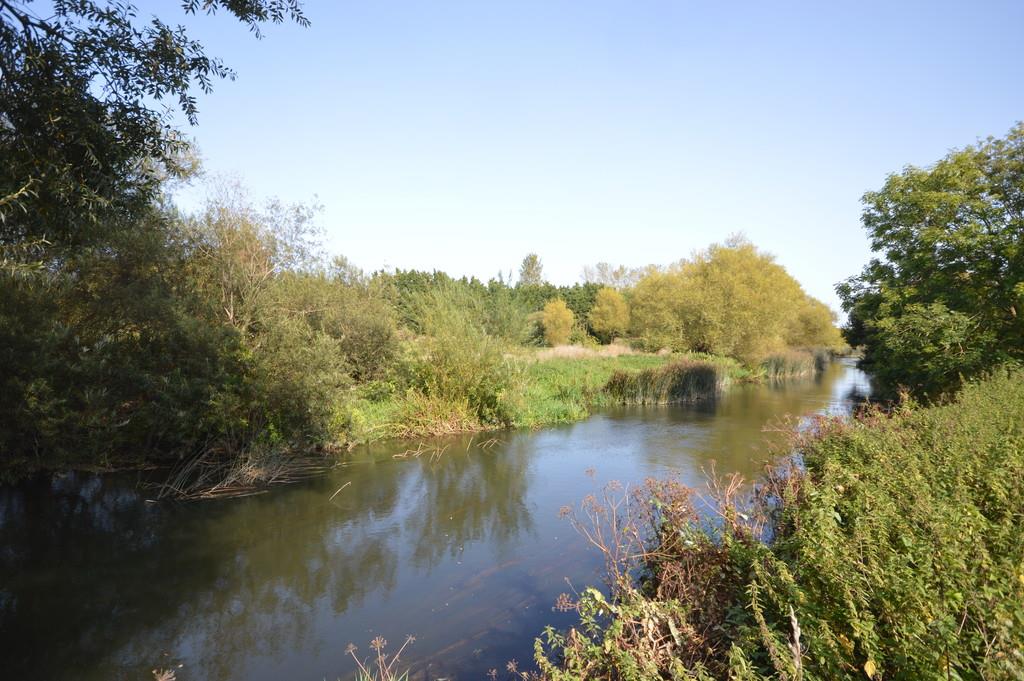 Property Image 1c43a858-0536-463e-a3b5-0c35ec3edd21