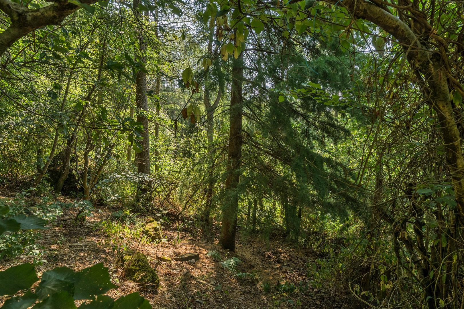 Property Image 1c5a948b-b0e0-4044-98ac-8169e9a8bbbd