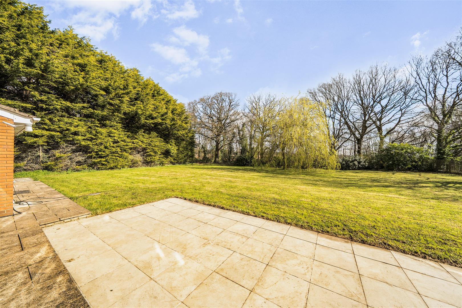 Property Image 1c800b98-f8b9-4d41-88f8-1d6c61ba2190