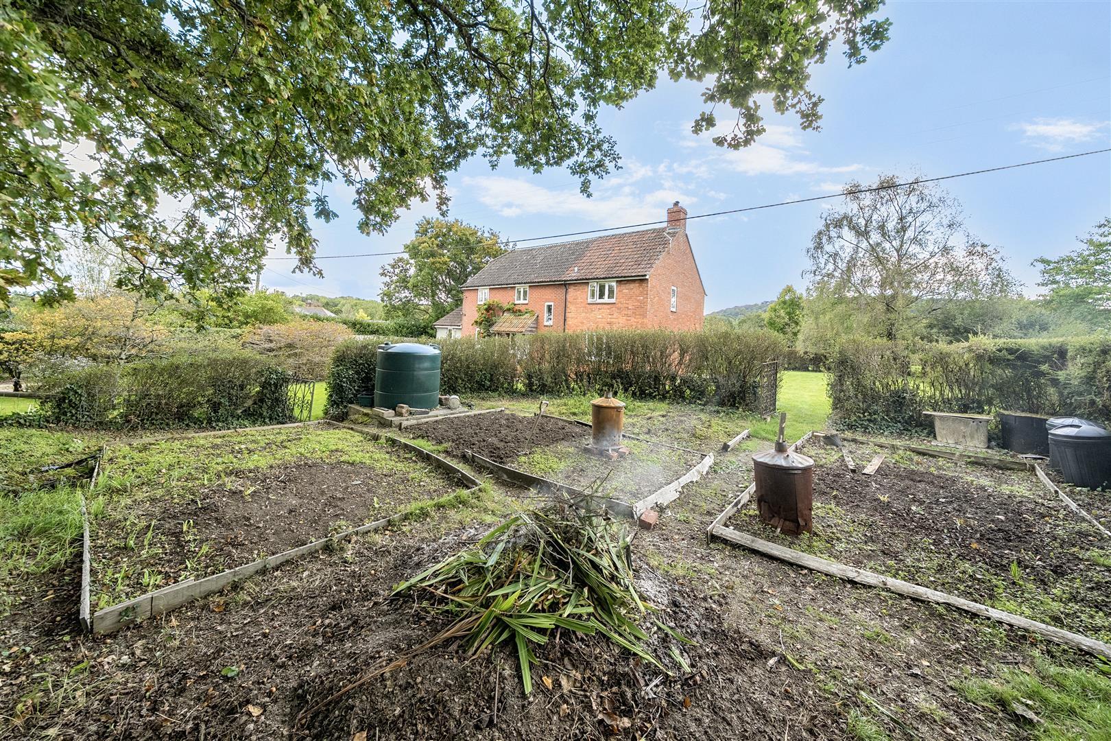 Property Image 1c971b15-60eb-42fe-ab00-292e2fc3c690