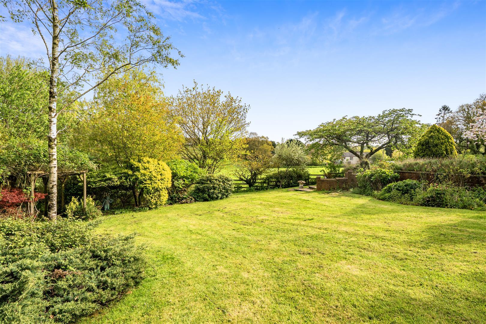 Property Image 1cb8165e-b93b-4519-9566-8c676ab6962e