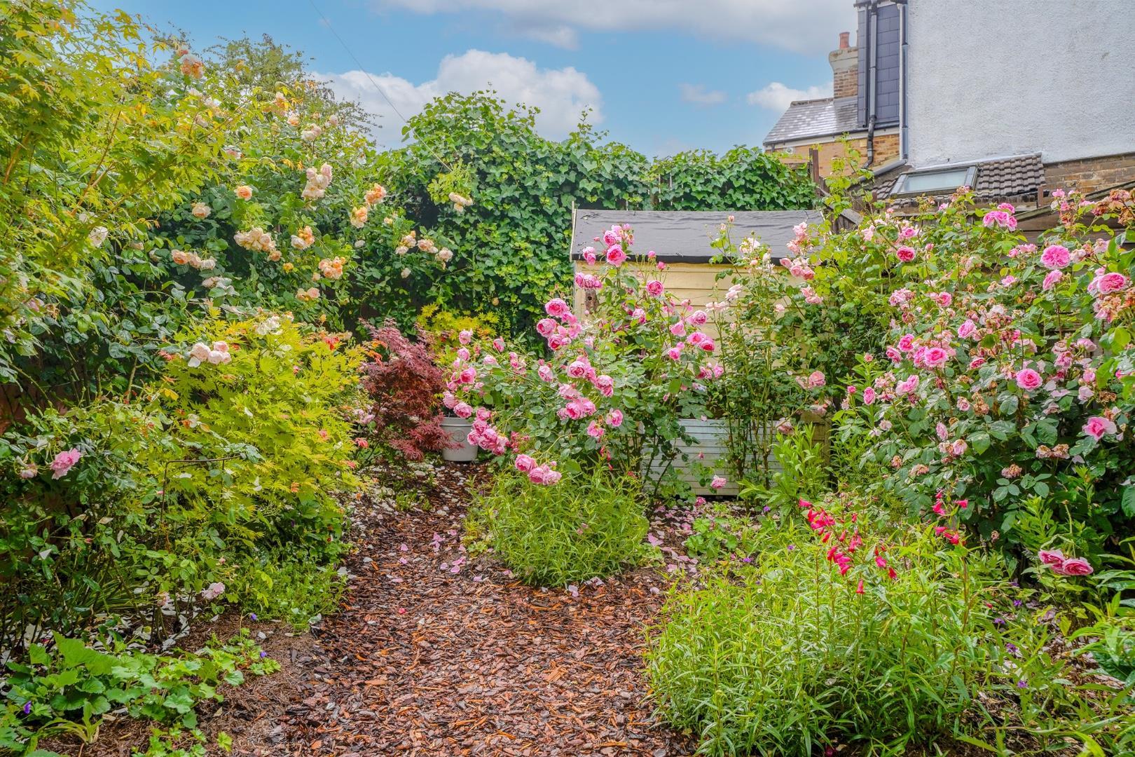 Property Image 1cc1bf23-390d-4f92-8b4f-6803bc886c14