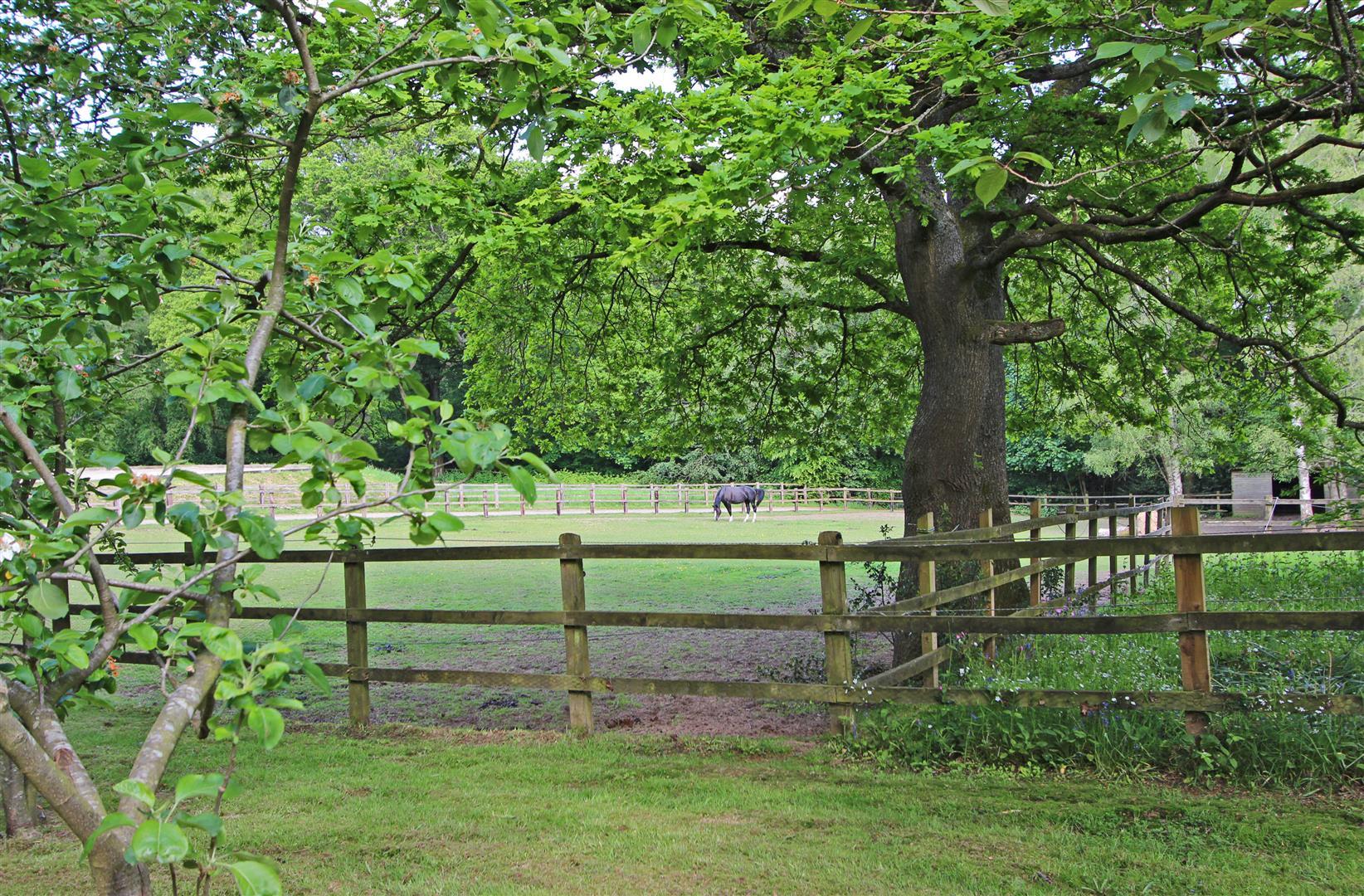 Property Image 1d239533-4096-419b-8507-298c06dc6de7