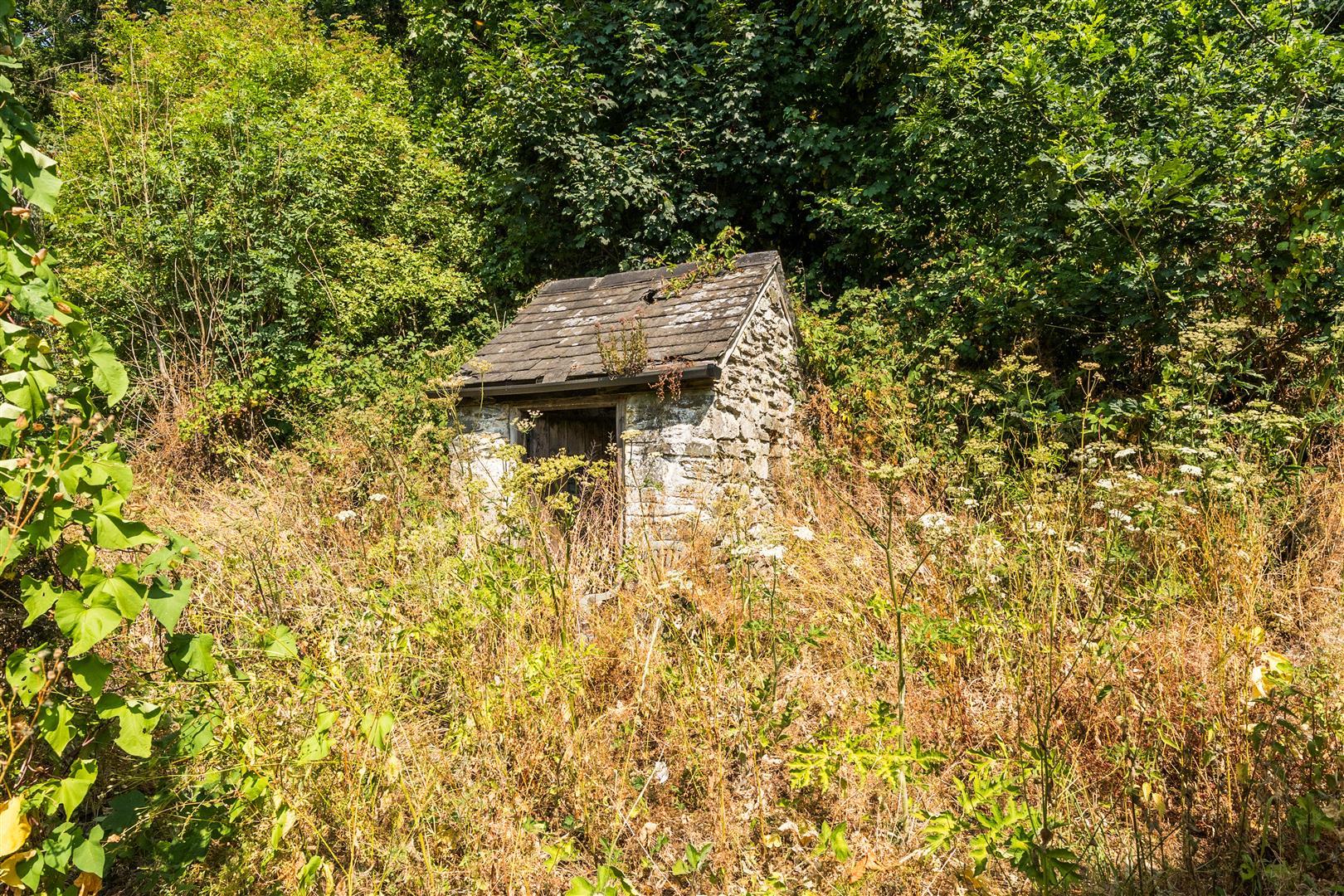 Property Image 1d2641a2-0ac9-4481-a34d-5f49bc8f5c46