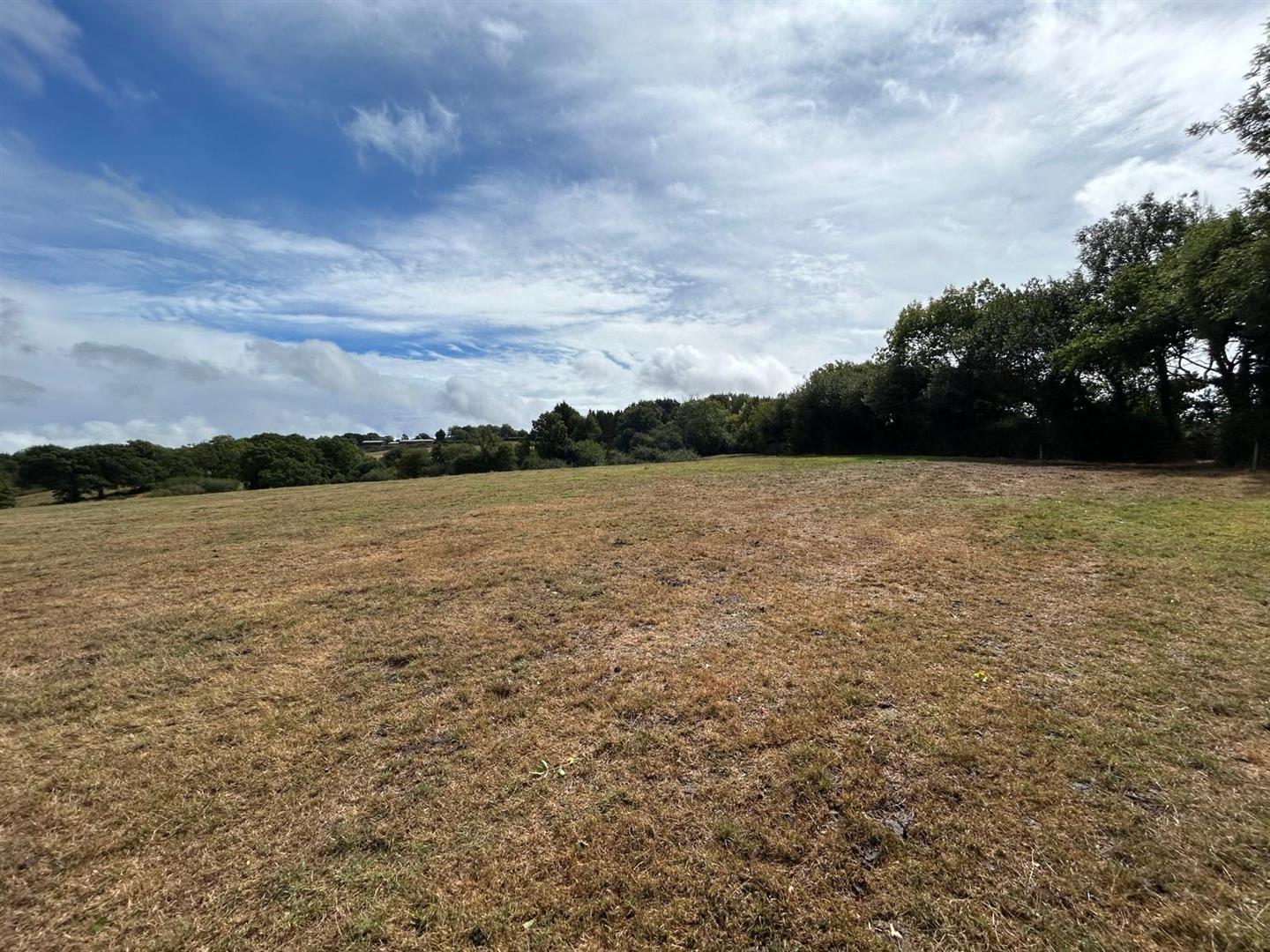 Property Image 1d3e8eb5-d542-4444-b034-3eeb63c087d2