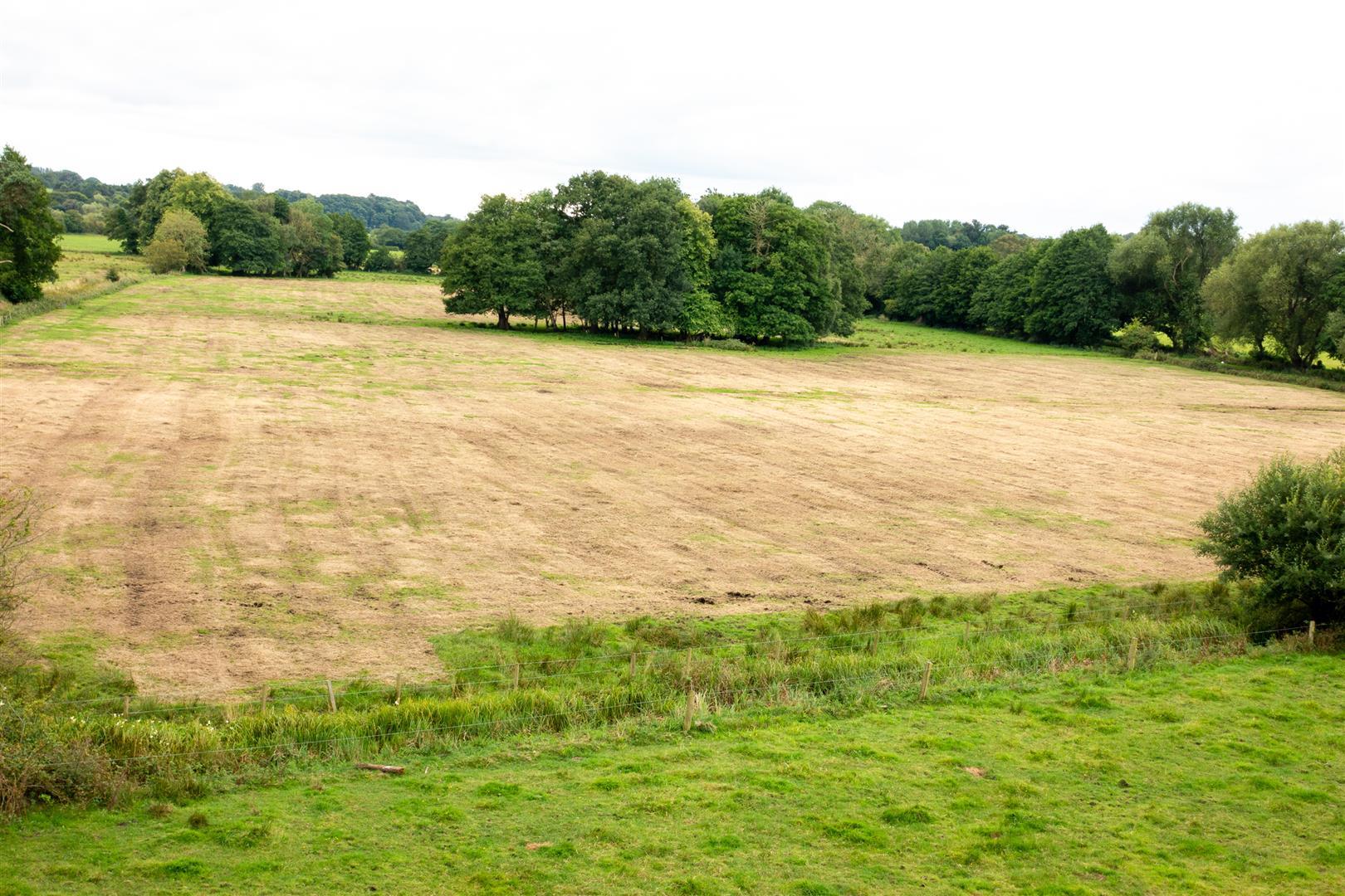 Property Image 1d42809e-46b3-4ab3-8914-15ba66c9359c