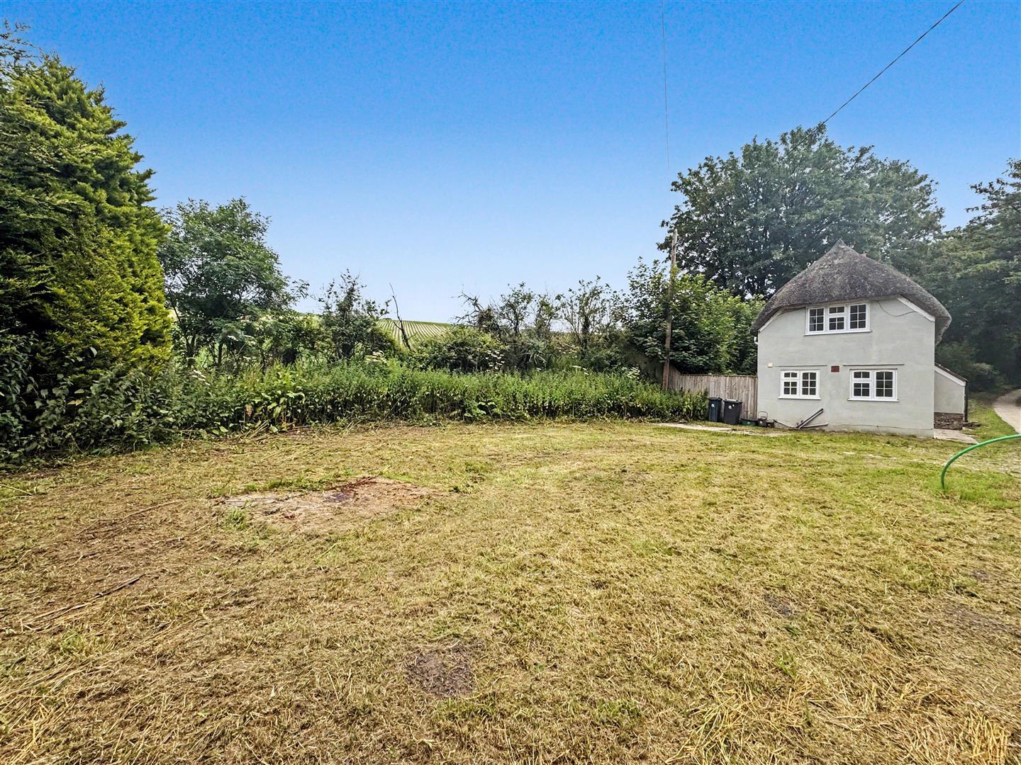 Property Image 1d618079-6d6c-41f2-91ee-641b7cc3bd67