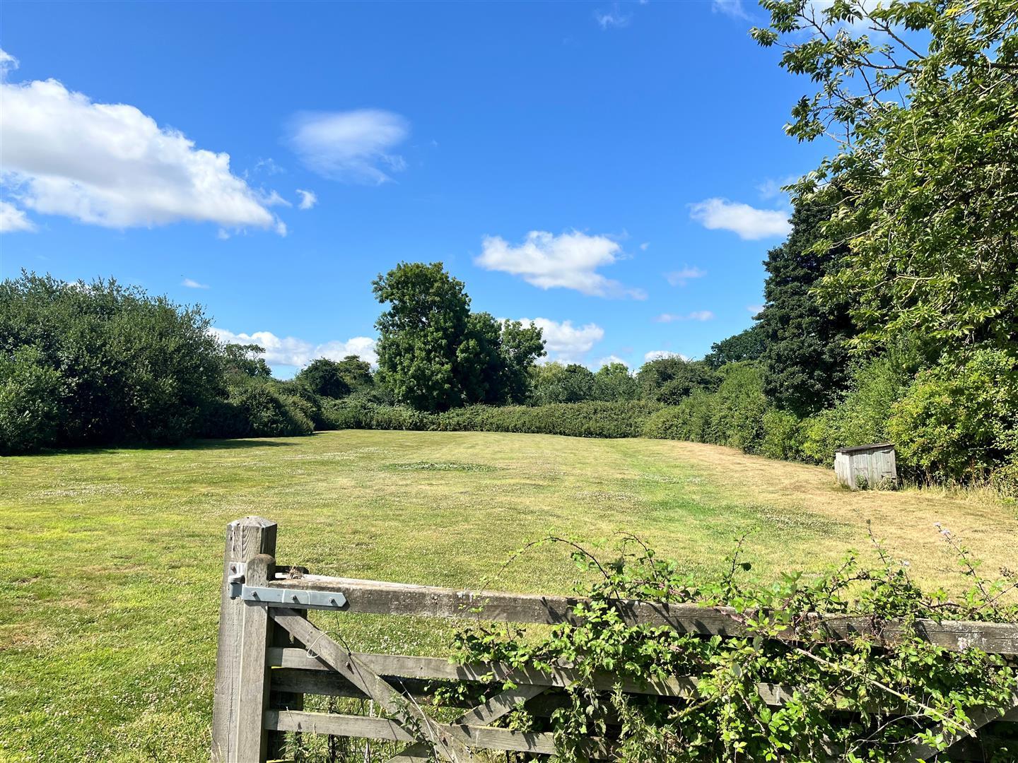 Property Image 1d98b87c-6f1a-43ac-b6e1-988f03562a6a
