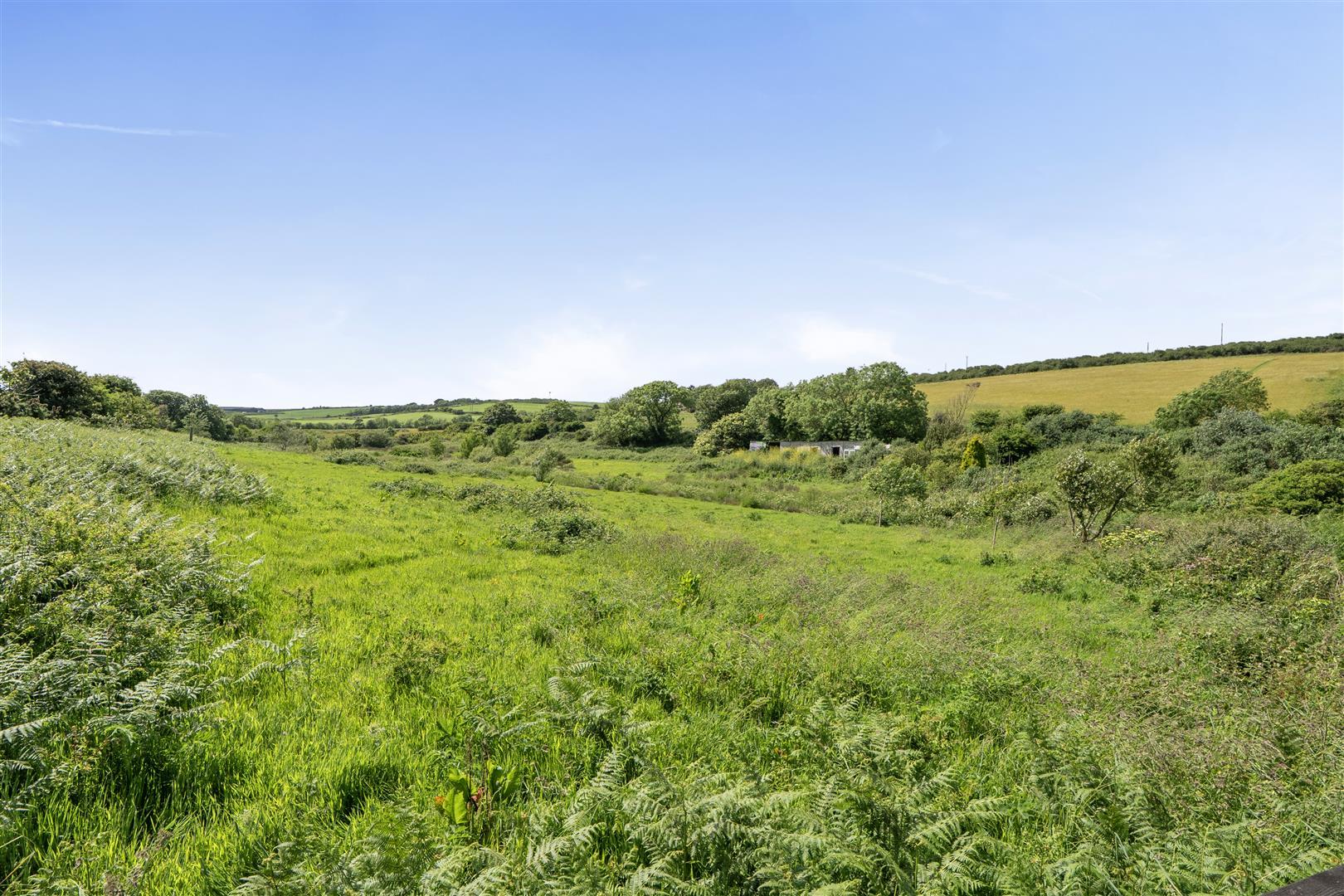 Property Image 1d9da227-8a7c-4a22-9d0e-71eb811498bd