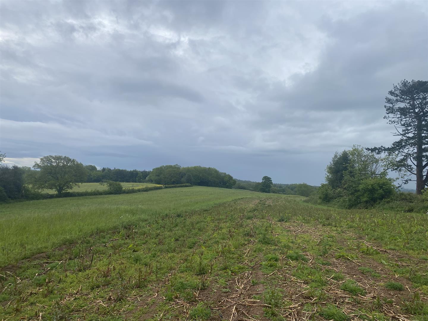 Property Image 1da05c1a-59d9-418a-80ce-3d2f9c418768