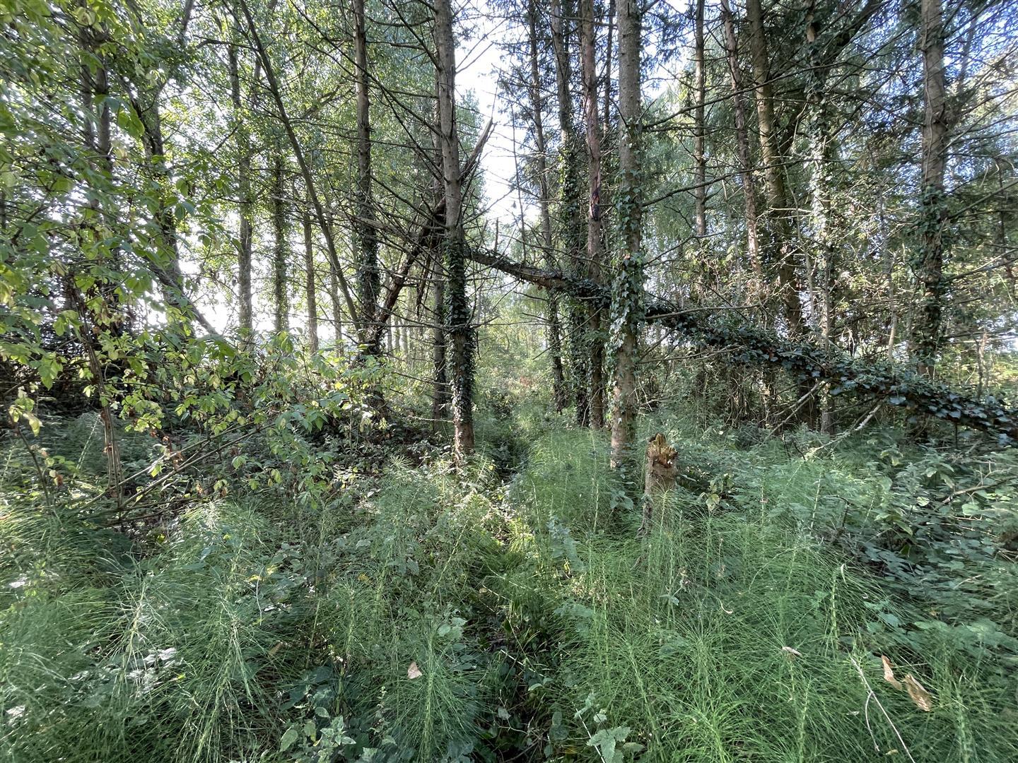 Property Image 1db511e5-c416-419a-8c9d-c08827d8a8e3
