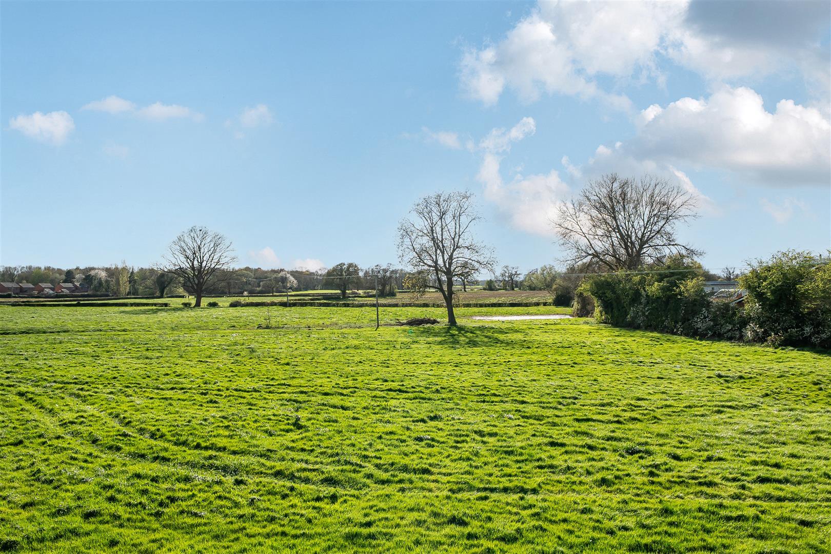 Property Image 1de3697f-e779-4f83-a0f3-d8bf6bffbaf7
