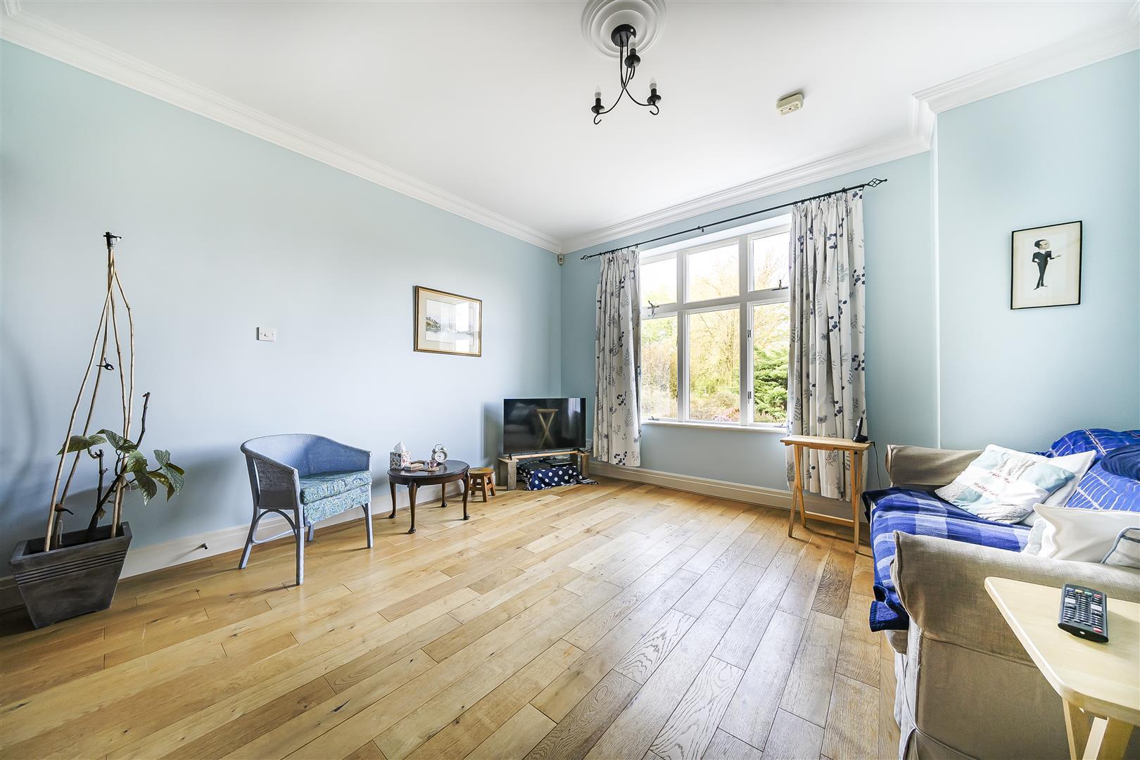 Property Image 1e1c51bf-4e30-4f93-835d-a73b8735ea50