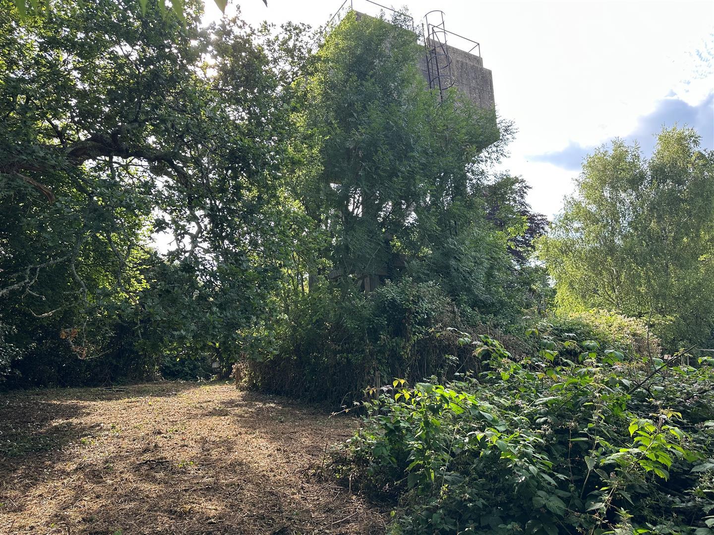Property Image 1e4d10ef-9e47-480e-ba04-355fc961286a