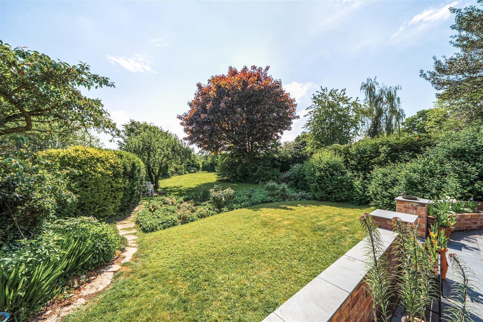 Property Image 1e673f40-4ea7-4b01-bdf1-c73cdbfef015