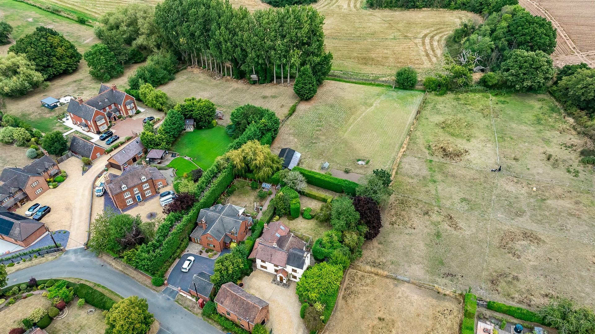 Property Image 1ed9afe8-a2fb-4f26-ba4c-9fb08cea0996