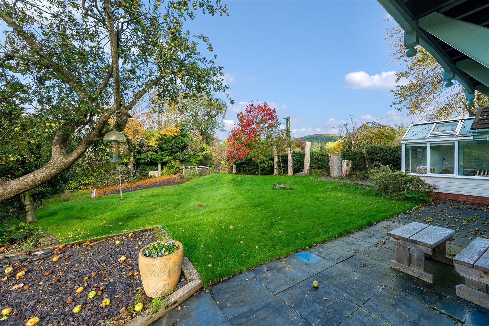 Property Image 1eed03e1-5f39-428f-859d-6d409c2cd399