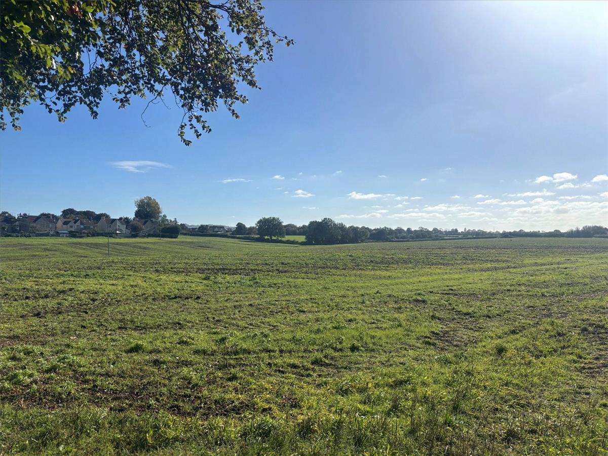 Property Image 1f1d44c1-524a-43ce-9de6-30e106daa7db